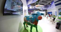 澳优财报解读：国际化的“幌子”还要打多久？