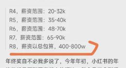 职场大瓜（坑）：年薪几百万高管入职小红书，未满月被污蔑劝退！