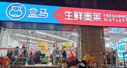 谁“杀死”了盒马？