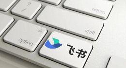 电厂 | 飞书的阶段性退败