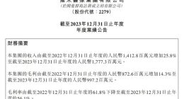 一年亏损5.46亿，雍禾植发何去何从？