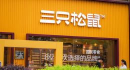 穿越“至暗期”后，三只松鼠的“百亿路”稳了吗？