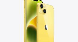 iPhone 16 Plus设计细节曝光：屏幕可能比iPhone 15 Plus小