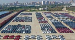 从乘联会数据来看 4月前两周国内新能源乘用车渗透率超过50%