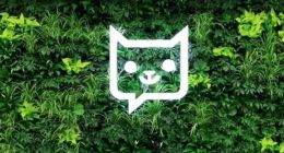 轻松集团变阵：轻松筹投资变动之后，轻松保严选股东变更