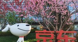 直播带货，刘强东邯郸学步？