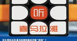 百亿债务压顶 喜马拉雅想靠放贷赚“快钱”？