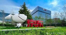 京东另类入局新能源汽车，是“灵药”还是“毒药”？