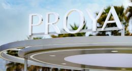 大单品爆了，但珀莱雅还没胜利