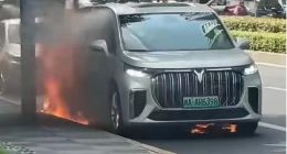 岚图梦想家突发“自燃”，大家还相信车企“零自燃”保障吗？