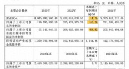 遭遇首个年度营收净利润双跌！大规模降价救不了良品铺子吗？