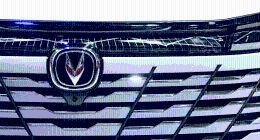 长安汽车，丢了“西瓜”