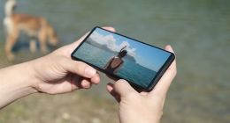 索尼Xperia 1 VI官图曝光：祖传4K“带鱼屏”成历史