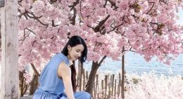vivo X100s将首发四季人像功能：完美还原不同季节色彩