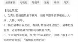 雷军这次要玩新的：带领小米进入短剧领域