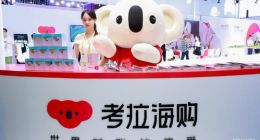 消费者在考拉抢购6台戴森吹风机疑为假货，戴森否认为其产品