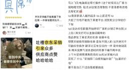 许冉直播不治本，京东需要刘强东