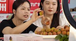 拼多多Q1深化高质量发展战略：加大农业投入，进一步夯实平台基本功