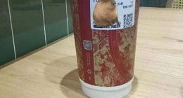 霸王茶姬喝完心悸进医院？一杯奶茶≈8罐红牛？注意了……