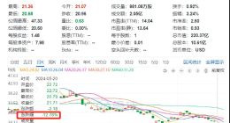 理想跌进纯电的坑