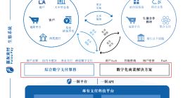 曾被最高检点名！合规问题缠身的富友支付难“富有”