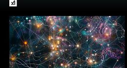 马斯克AI初创公司xAI宣布B轮融资获得60亿美元资金 将用于未来技术研发等