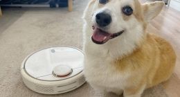 为了新来的扫地机器人，我差点把自家狗子给扔了