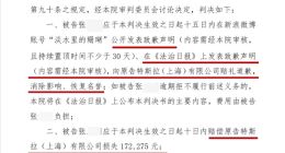 特斯拉“车顶维权”女车主一审被判公开致歉，赔偿17万元