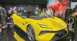 推开资本市场大门后，路特斯仍未等来满树繁花？