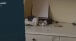 外观更轻薄，Meta首席技术官疑似泄露Quest 3S头显