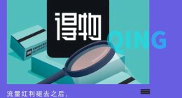 炒不了鞋的得物，陷入盈利迷茫