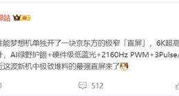 真我GT6屏幕细节曝光：6000尼特极窄直屏来了！