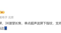 iQOO 13参数细节出炉：搭载2K纯直屏+3X潜望长焦