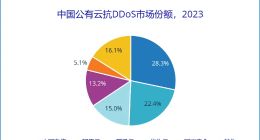 IDC中国公有云抗DDoS市场份额报告：网宿安全位居第五
