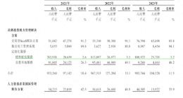 IPO雷达｜“骑手配送服务提供商”博尔捷冲港股：严重依赖客户A，交通事故诉讼频繁
