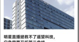 贾乃亮成“带货一哥”，但遥望科技只是赔钱赚吆喝？