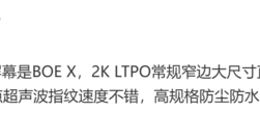 iQOO 13参数细节曝光：2K窄边大尺寸直屏+单点超声波指纹