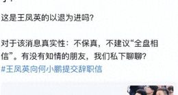 小鹏二把手王凤英被爆交辞呈？离职或许是假，困局实乃是真！