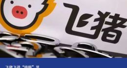 飞猪飞进“钱眼”里