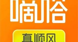 嘀嗒出行“圆梦港股”背后：毛利下滑、份额缩水，顺风故事能否为继？