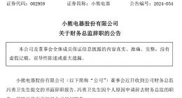 财务总监频频离职，业绩突然“变脸”，“小家电第一股”天花板已至？