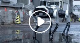 机器狗“痛揍”两足机器人 观众：你是真的“狗”