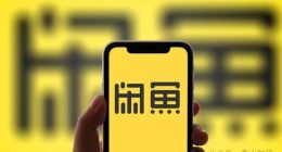 闲鱼上线借钱服务，合作机构因催收模式频遭质疑