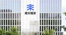 两年巨亏6亿，雍禾植发的故事讲不下去了