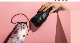 把伞的生意重新做一遍后，蕉下需要新支点