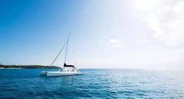 海信、TCL与海尔们机会与挑战：从出海分歧到以旧换新