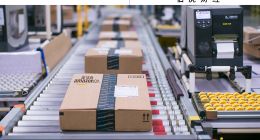 亚马逊推“低价商店”，打不过就加入