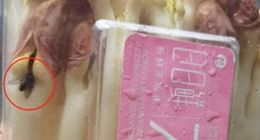 恶心！盒马鲜生买来的“日日鲜”花生芽里竟“趴”着两只苍蝇 消费者：单品退款后就没下文了……
