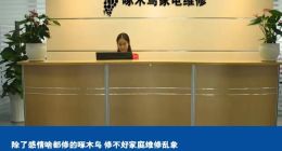 除了感情啥都修的啄木鸟 修不好家庭维修乱象