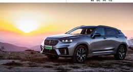 长城汽车站着把钱挣了 | 车圈